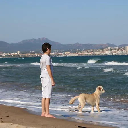 Best Holidays Var *